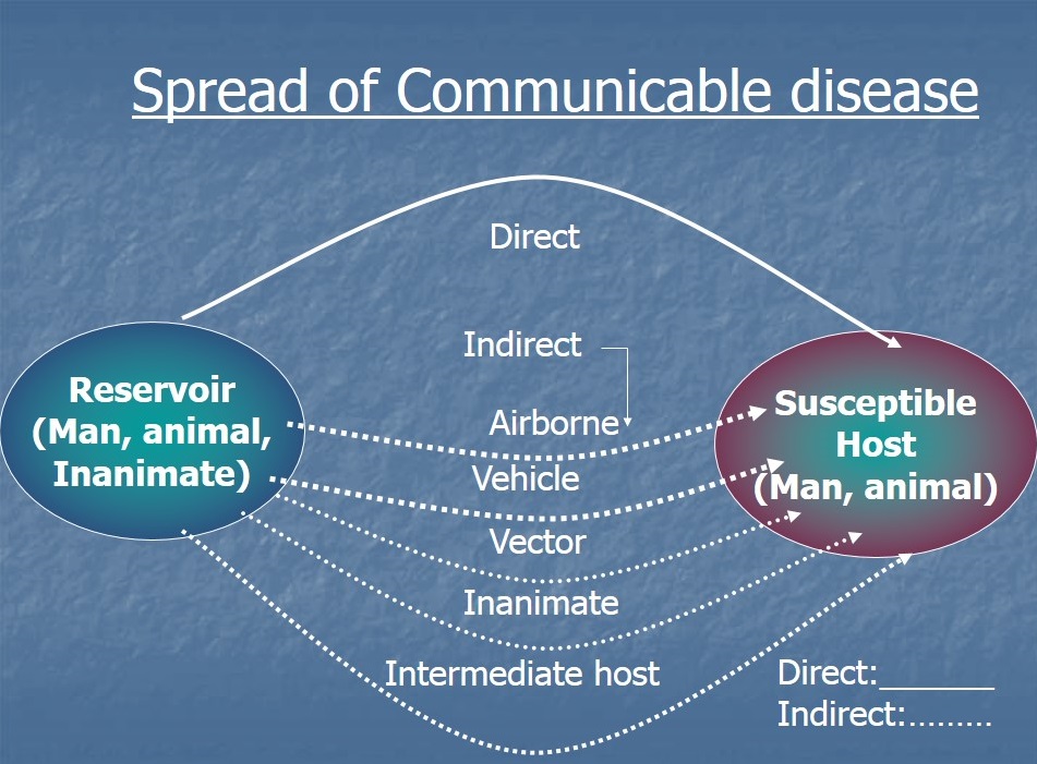 Communicable diseases| Lisbon| Portugal| Europe| USA| Asia Pacific